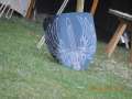DSCN1196