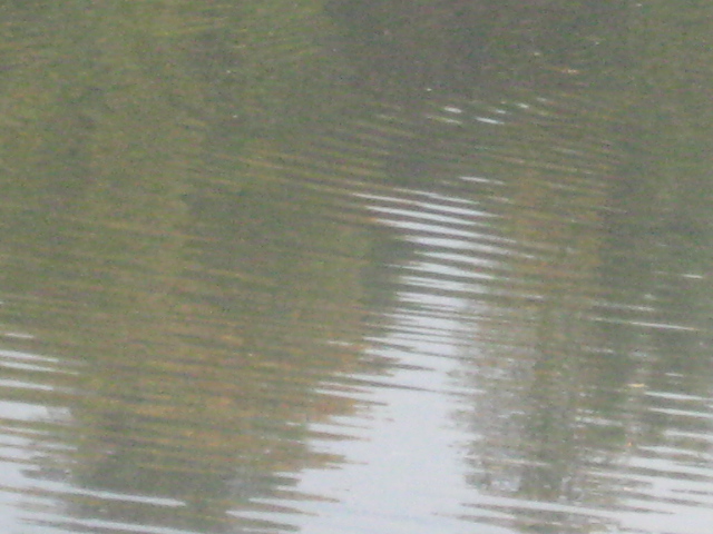 Eutin2011 211