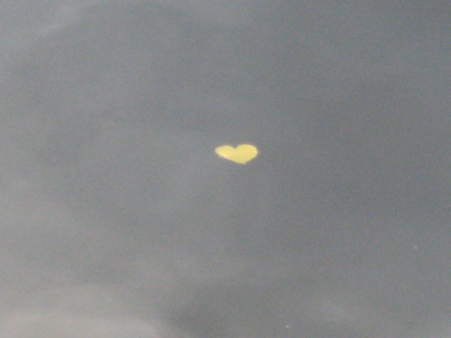 Eutin2011 217
