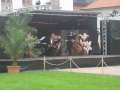 Eutin2011 016
