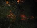 Eutin2011 158