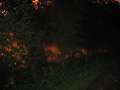 Eutin2011 159