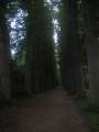 Eutin2011 176