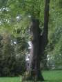 Eutin2011 205