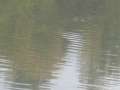 Eutin2011 211