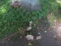 Eutin2011 252