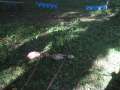 Eutin2011 255