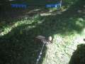 Eutin2011 256