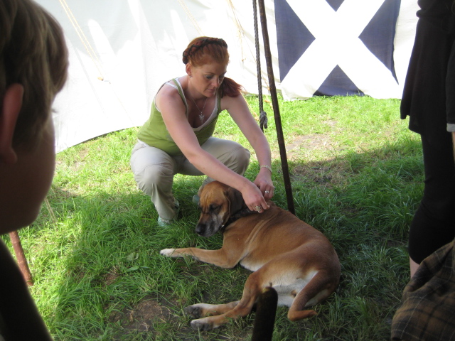 Holland2011 117