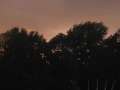 rastede09 181